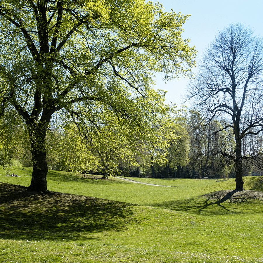 Duesseldorf sternwartenpark